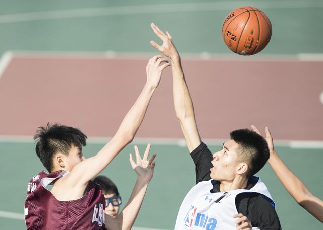 精品视频一区二区三区在线观看